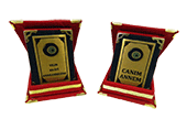 Plaket baskı